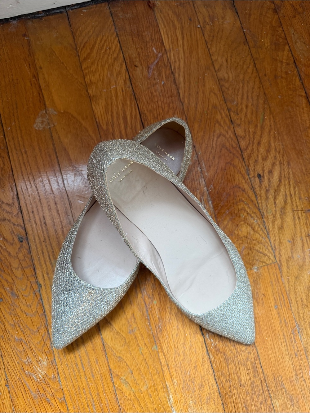 Cole Haan Sparkling Silver Pointed-Toe Flats